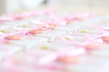 14054809_1030461703735611_2078058277_n